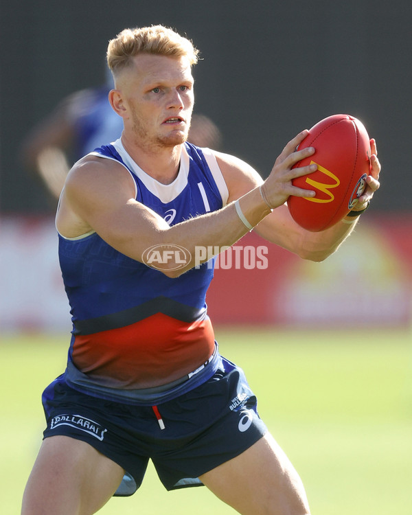 AFL 2024 Training - Western Bulldogs 200324 - A-46587297