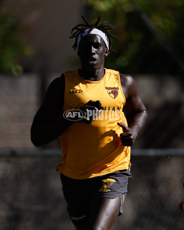 AFL 2024 Training - Hawthorn 210423 - A-46589153