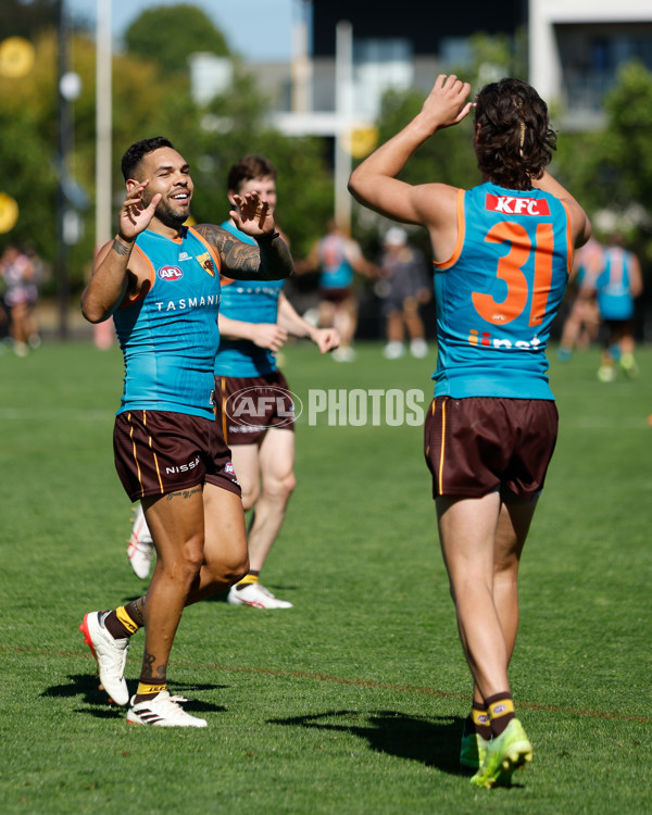 AFL 2024 Training - Hawthorn 210423 - A-46589169