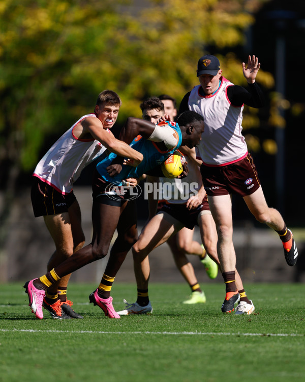 AFL 2024 Training - Hawthorn 210423 - A-46589170