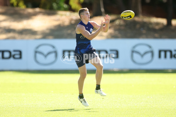 AFL 2024 Training - North Melbourne 210324 - A-46592699