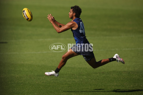 AFL 2024 Training - North Melbourne 210324 - A-46592702