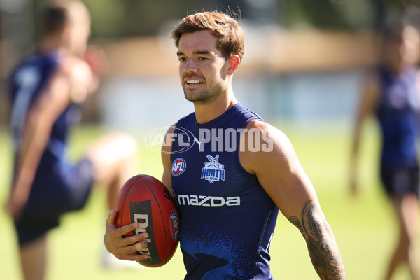 AFL 2024 Training - North Melbourne 210324 - A-46593985