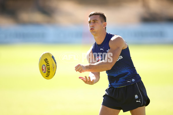 AFL 2024 Training - North Melbourne 210324 - A-46593986