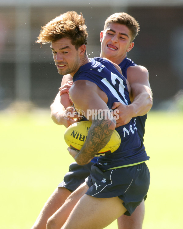 AFL 2024 Training - North Melbourne 210324 - A-46594005