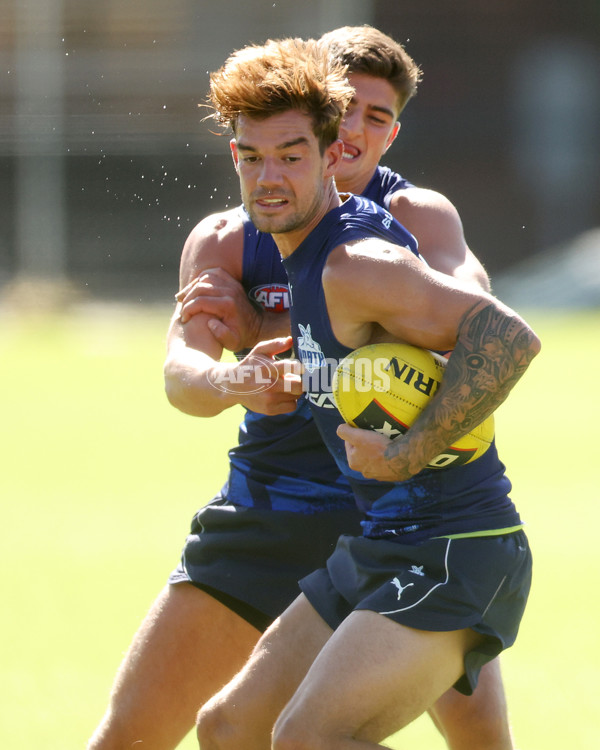 AFL 2024 Training - North Melbourne 210324 - A-46596058