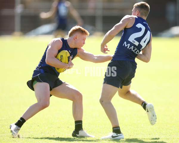 AFL 2024 Training - North Melbourne 210324 - A-46596081