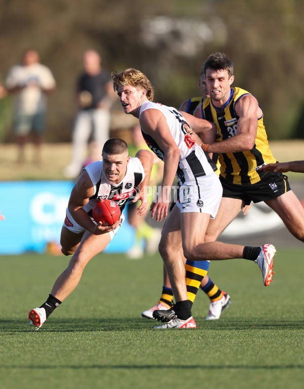 VFL 2024 Round 01 - Sandringham v Collingwood - A-46623529