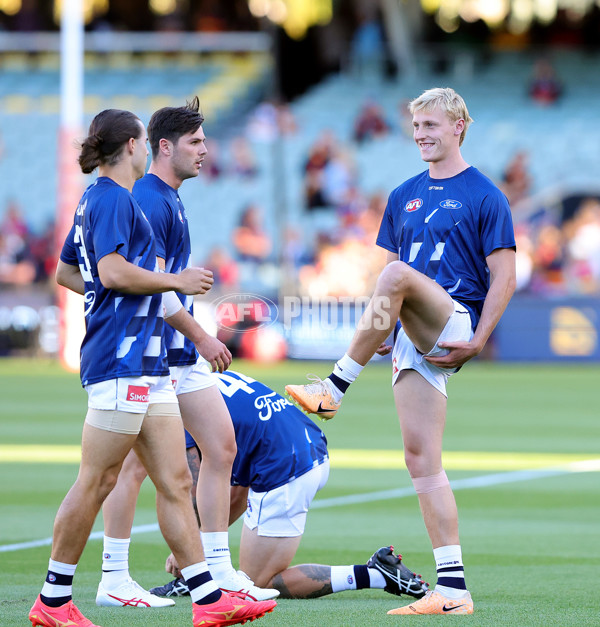 AFL 2024 Round 02 - Adelaide v Geelong - A-46623540