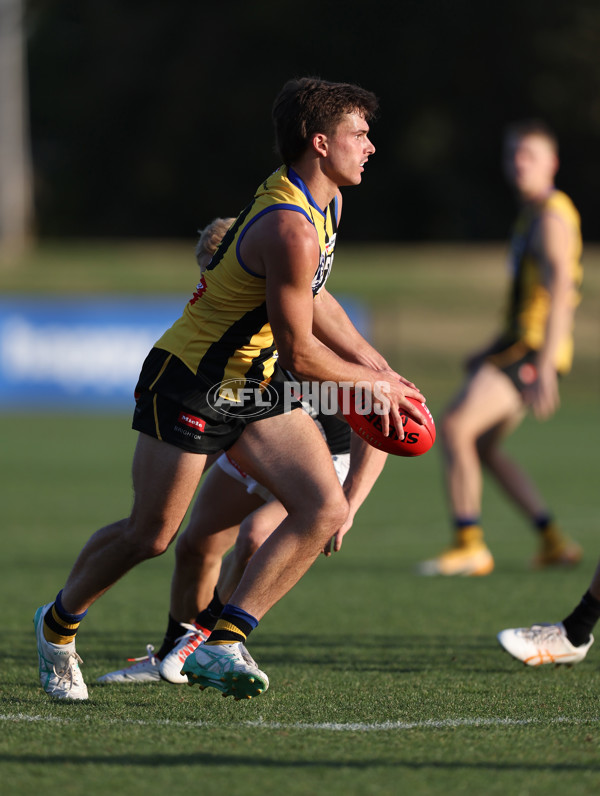 VFL 2024 Round 01 - Sandringham v Collingwood - A-46623542