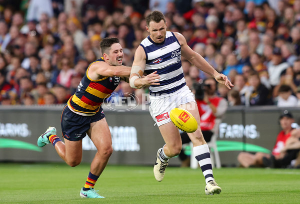 AFL 2024 Round 02 - Adelaide v Geelong - A-46623563