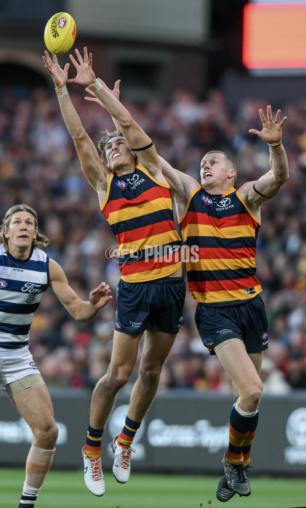AFL 2024 Round 02 - Adelaide v Geelong - A-46623565