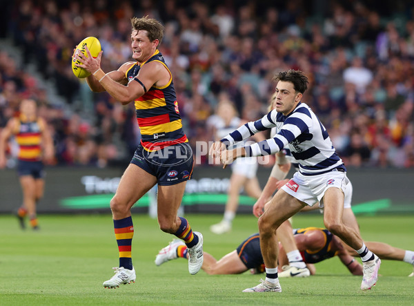 AFL 2024 Round 02 - Adelaide v Geelong - A-46623566