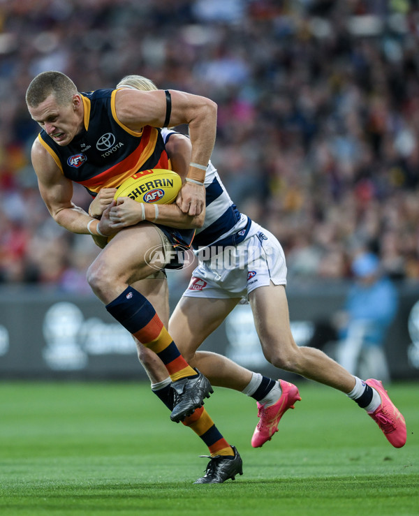 AFL 2024 Round 02 - Adelaide v Geelong - A-46623578