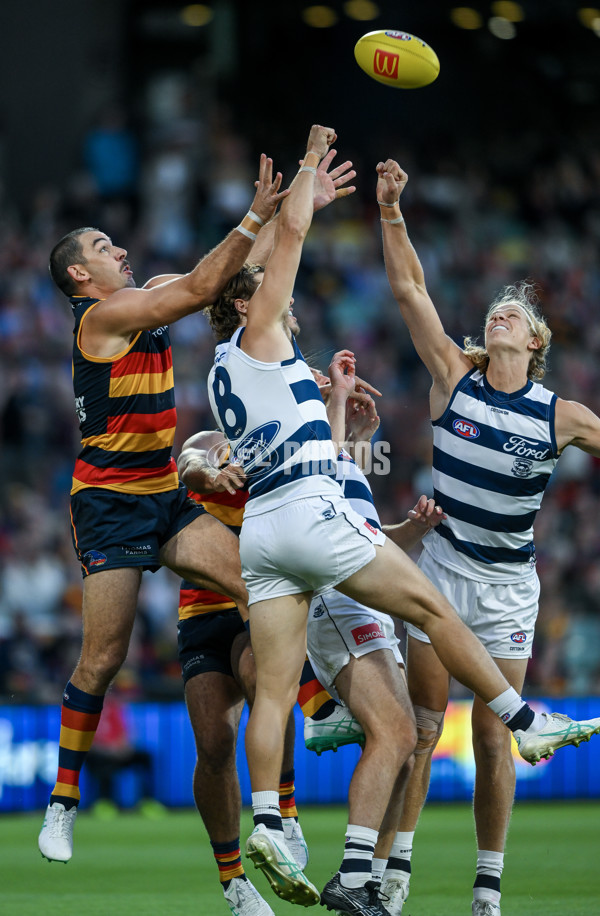 AFL 2024 Round 02 - Adelaide v Geelong - A-46623579