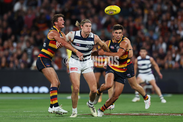 AFL 2024 Round 02 - Adelaide v Geelong - A-46623584
