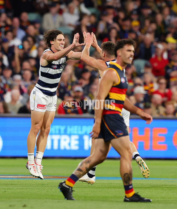 AFL 2024 Round 02 - Adelaide v Geelong - A-46623589
