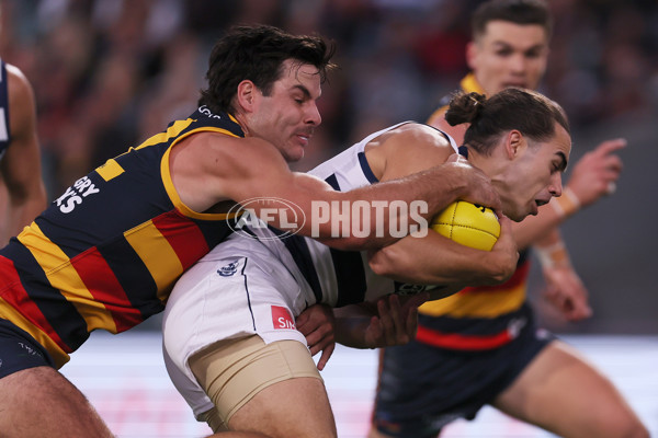 AFL 2024 Round 02 - Adelaide v Geelong - A-46623596
