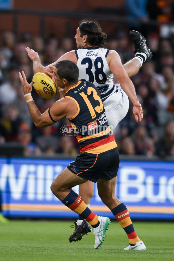 AFL 2024 Round 02 - Adelaide v Geelong - A-46623606