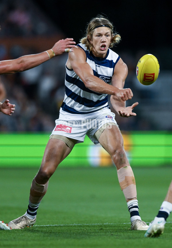 AFL 2024 Round 02 - Adelaide v Geelong - A-46623611