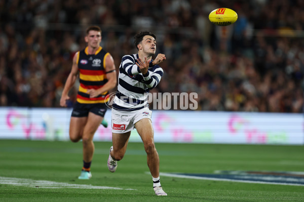 AFL 2024 Round 02 - Adelaide v Geelong - A-46623612