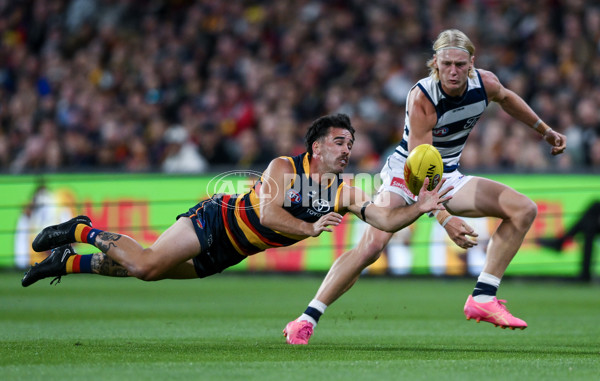 AFL 2024 Round 02 - Adelaide v Geelong - A-46623616