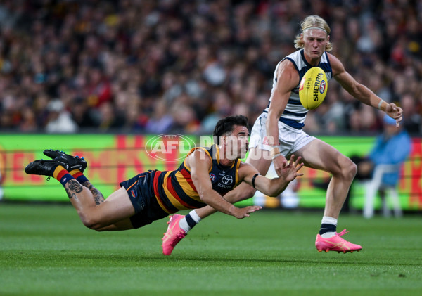 AFL 2024 Round 02 - Adelaide v Geelong - A-46623619