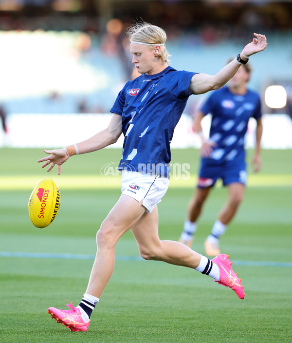AFL 2024 Round 02 - Adelaide v Geelong - A-46623737