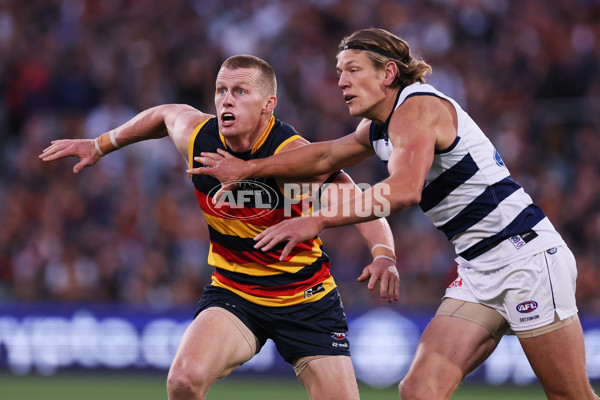 AFL 2024 Round 02 - Adelaide v Geelong - A-46623772