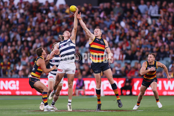 AFL 2024 Round 02 - Adelaide v Geelong - A-46623773