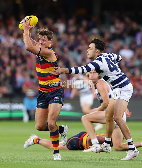 AFL 2024 Round 02 - Adelaide v Geelong - A-46623774
