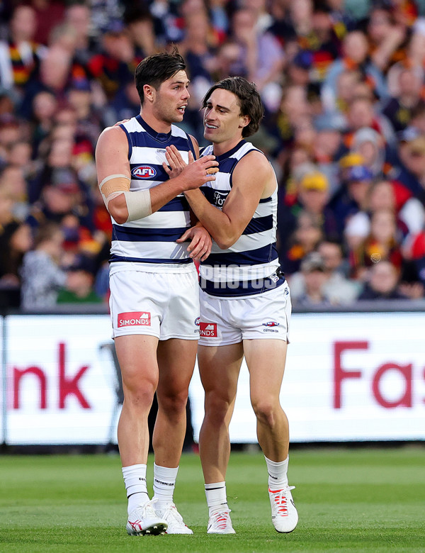 AFL 2024 Round 02 - Adelaide v Geelong - A-46623781