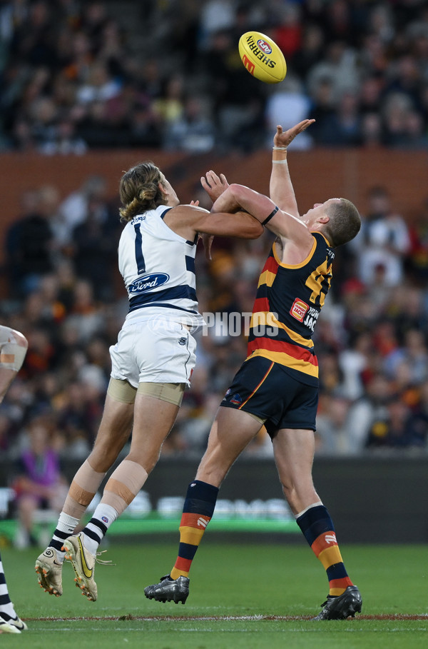 AFL 2024 Round 02 - Adelaide v Geelong - A-46623791