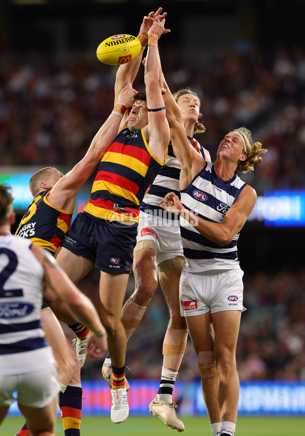 AFL 2024 Round 02 - Adelaide v Geelong - A-46623792