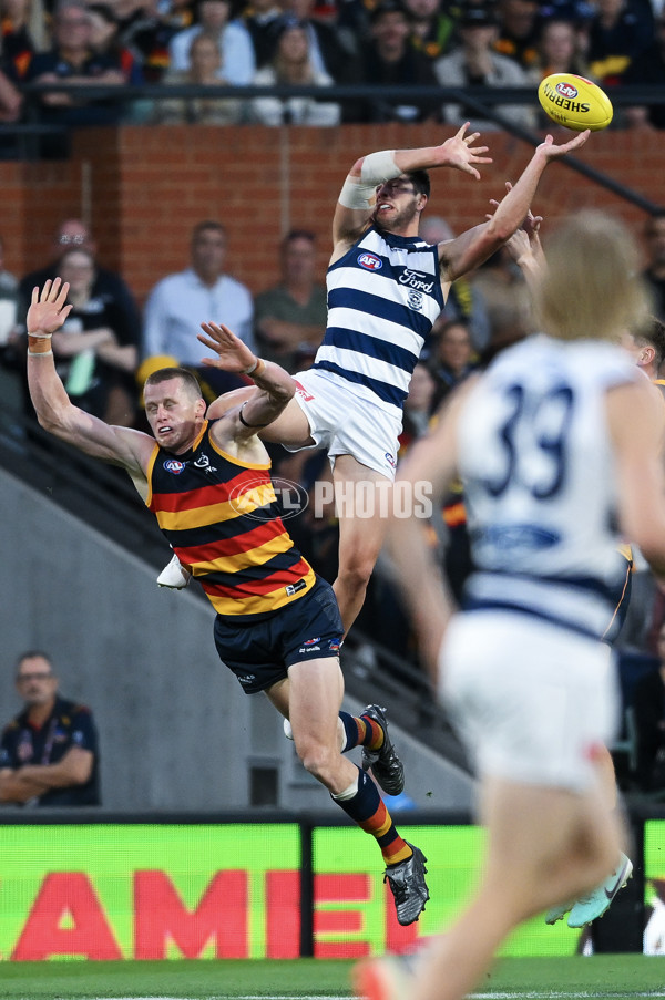 AFL 2024 Round 02 - Adelaide v Geelong - A-46623794