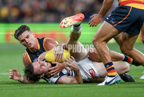 AFL 2024 Round 02 - Adelaide v Geelong - A-46623807