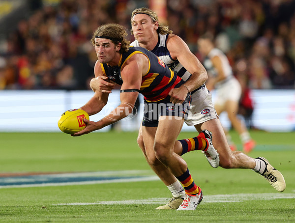 AFL 2024 Round 02 - Adelaide v Geelong - A-46623808
