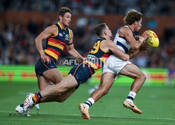 AFL 2024 Round 02 - Adelaide v Geelong - A-46623810