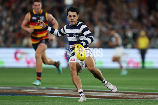 AFL 2024 Round 02 - Adelaide v Geelong - A-46623812