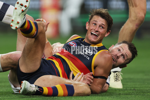 AFL 2024 Round 02 - Adelaide v Geelong - A-46626160