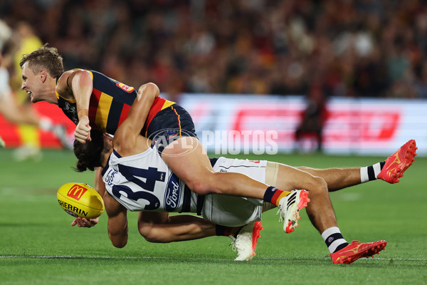 AFL 2024 Round 02 - Adelaide v Geelong - A-46626161