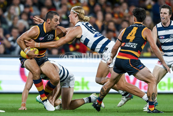 AFL 2024 Round 02 - Adelaide v Geelong - A-46626171
