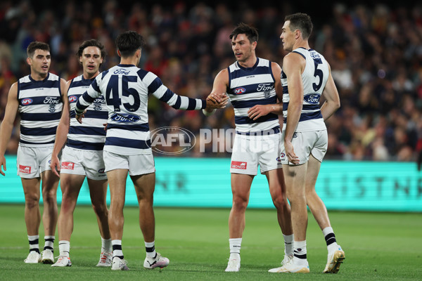 AFL 2024 Round 02 - Adelaide v Geelong - A-46626176