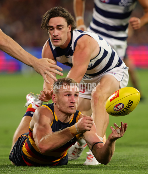 AFL 2024 Round 02 - Adelaide v Geelong - A-46626182