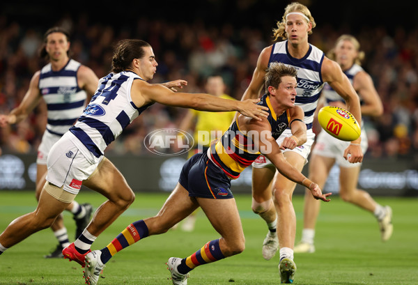 AFL 2024 Round 02 - Adelaide v Geelong - A-46626184