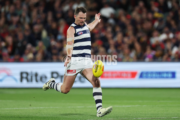 AFL 2024 Round 02 - Adelaide v Geelong - A-46626189