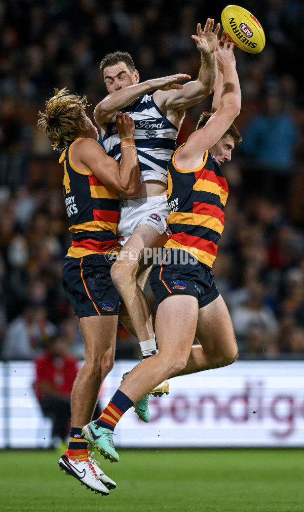 AFL 2024 Round 02 - Adelaide v Geelong - A-46626200