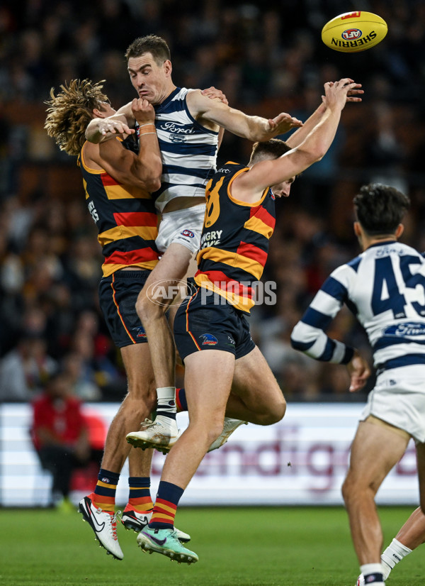 AFL 2024 Round 02 - Adelaide v Geelong - A-46626201