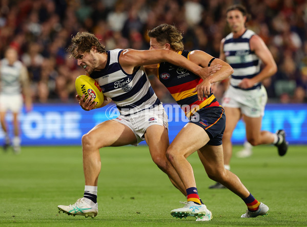 AFL 2024 Round 02 - Adelaide v Geelong - A-46626203