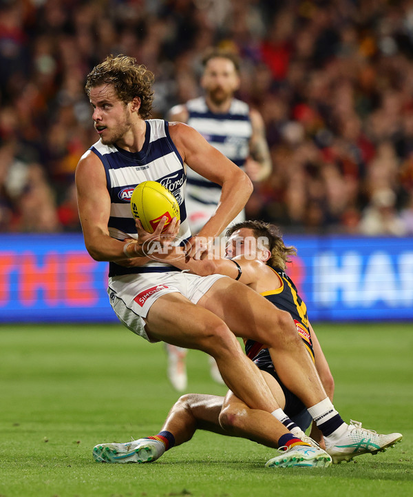 AFL 2024 Round 02 - Adelaide v Geelong - A-46626205